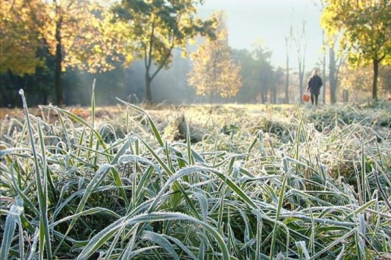 В Україні сьогодні прогнозують заморозки до -3°С – синоптики