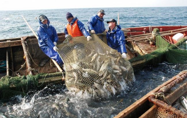 Закони не писані: браконьєри Череповського продовжують винищувати Азовське море