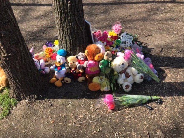 Смерть дитини в Центральному парку Запоріжжя: поліція вручила підозру Олегу Комаренку