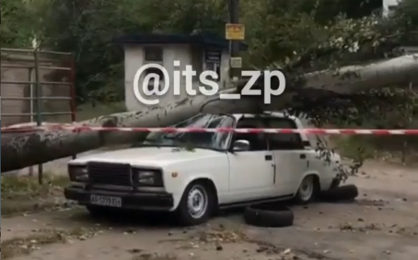 У центральній частині Запоріжжя дерево впало на автомобіль – відео