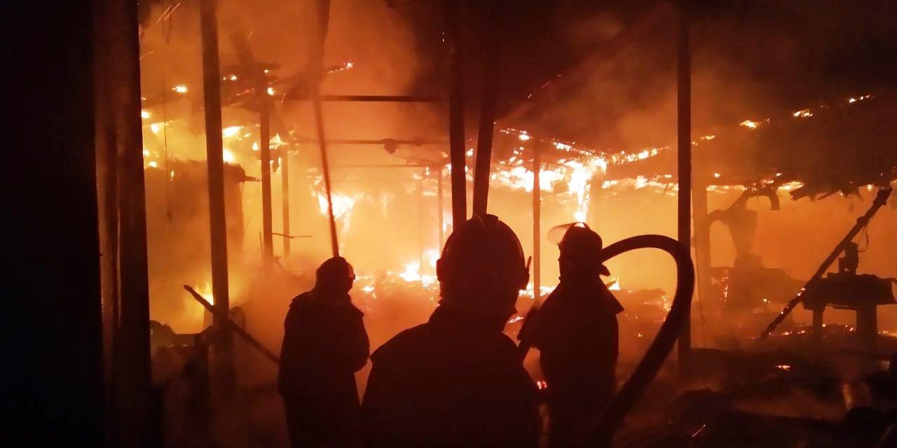 Внаслідок сильної пожежі на фермерстві в Запорізькій області загинуло кілька десятків тварин