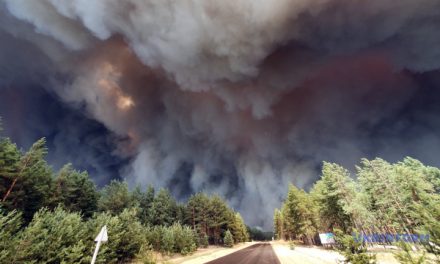 До порятунку палаючих сіл на Луганщині залучили запорізьких пожежників