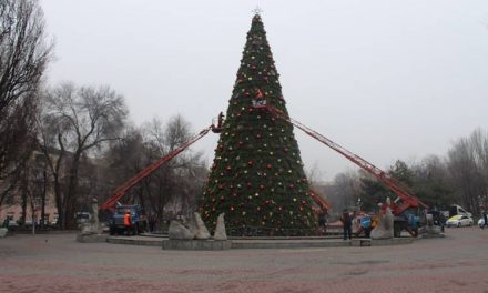 Мешканці Запоріжжя збирають підписи, щоб відмовити владу встановлювати новорічну ялинку в центрі міста
