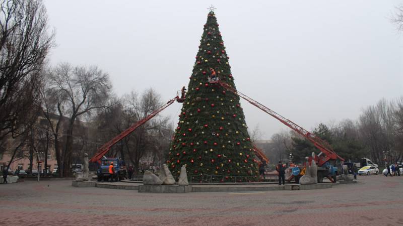 Мешканці Запоріжжя збирають підписи, щоб відмовити владу встановлювати новорічну ялинку в центрі міста