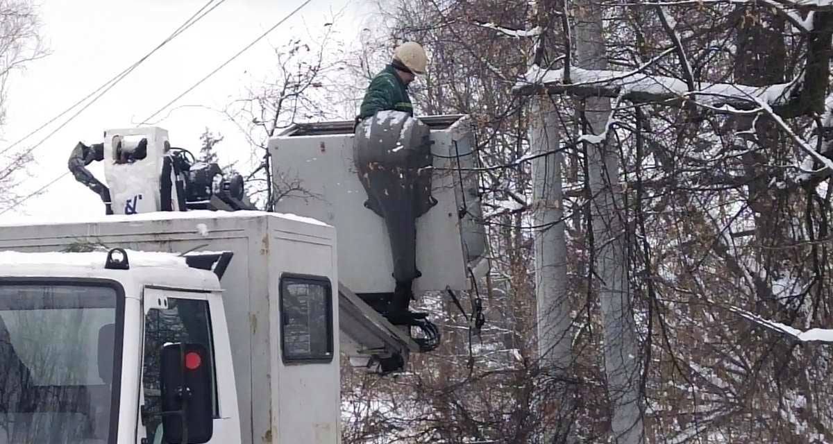 На Київщині бобри відключили електроенергію для цілого населеного пункту