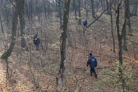 У Чернігівському лісі знайшли тіло прокурора