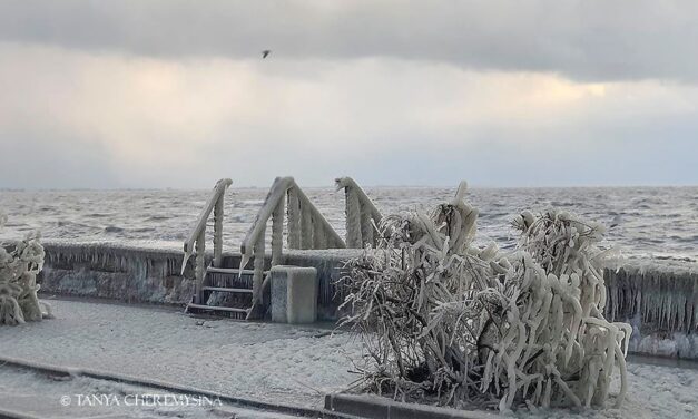 На Запоріжжі вся набережна біля Азовського моря покрилася кригою – фото