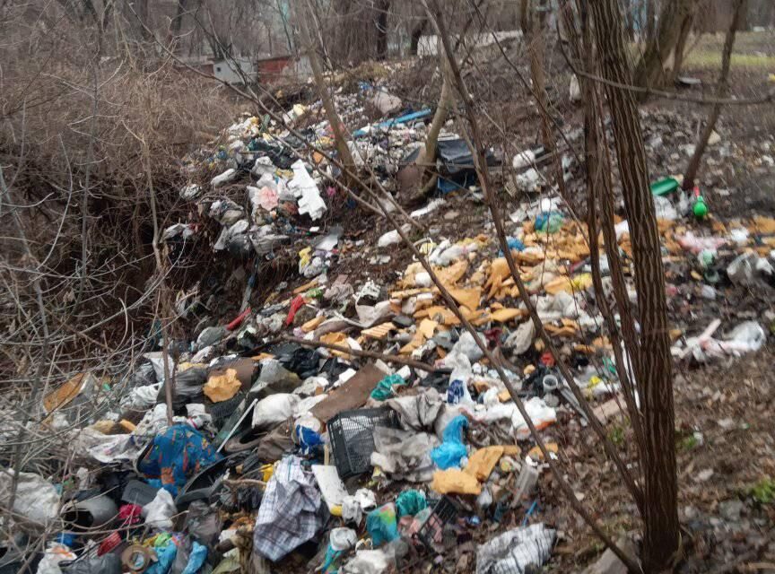 У Запоріжжі поблизу житлових будинків утворилося сміттєзвалище – фото