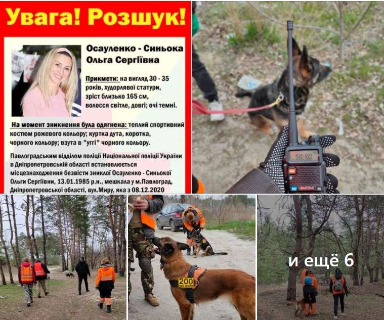 Волонтери, які 127 днів шукають дівчину із Запорізької області просять не вірити пліткам із знайденим черепом