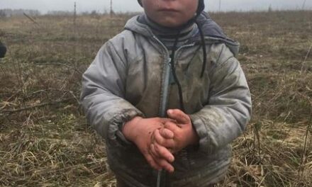 З’явилася інформація з приводу розшуку зниклого 2-річного хлопчика на Київщині