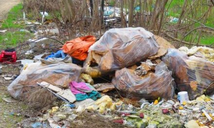 Запоріжці позносили понад 20 т сміття на несанкціоновані сміттєзвалища – фото