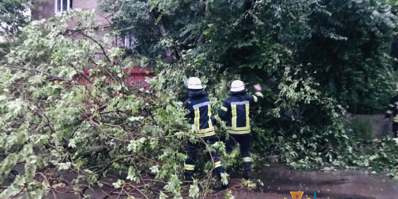 Рятувальники у Запоріжжі прибирають повалені негодою дерева – фото