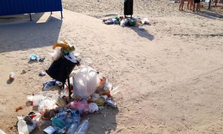Щойно відремонтований пляж у Запоріжжі заріс бур’янами – фото