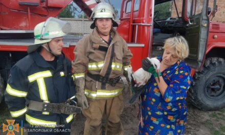 На Запоріжжі рятувальники знімали з водонапірної башти пташеня лелеки – фото