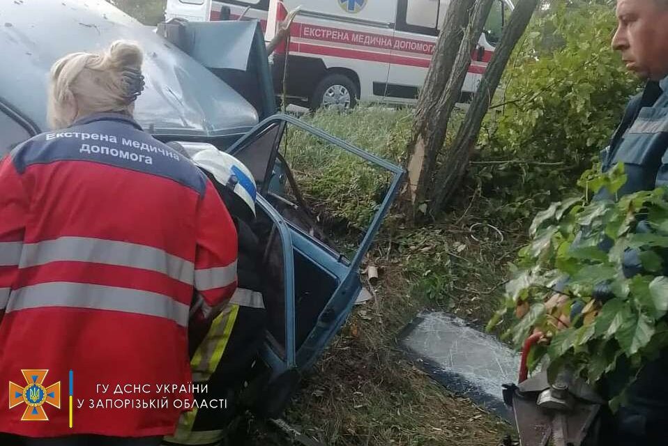 ДТП на Запоріжжі: автомобіль на швидкості врізався у дерево