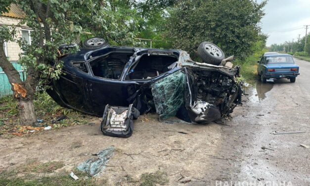 На Запоріжжі п’яний водій врізався в дерево, один чоловік загинув, ще одного доставили до лікарні – фото