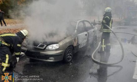 У Запоріжжі обабіч дороги рятувальники гасили пожежу в легковому автомобілі – фото