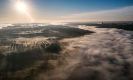Місто Запоріжжя «огорнуло» туманом – фото, відео