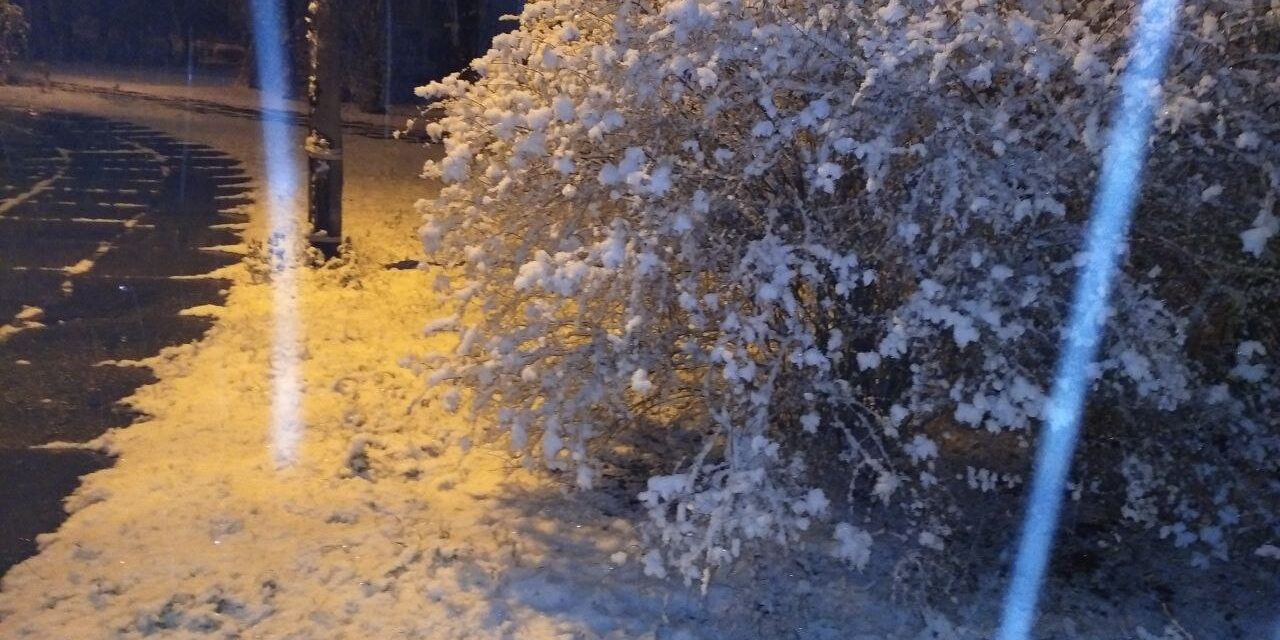 Київ відкрив сезон снігопадів – фото