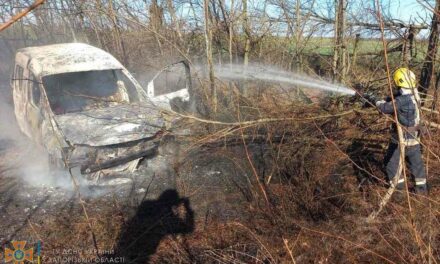 На Запоріжжі авто з’їхало у кювет і загорілось, постраждала водійка – фото
