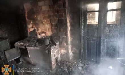 Під Запоріжжям сталась трагедія: на пожежі загинув чоловік