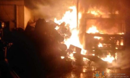 На Запоріжжі горіла вантажівка, на виклик прибуло 8 рятувальників – фото