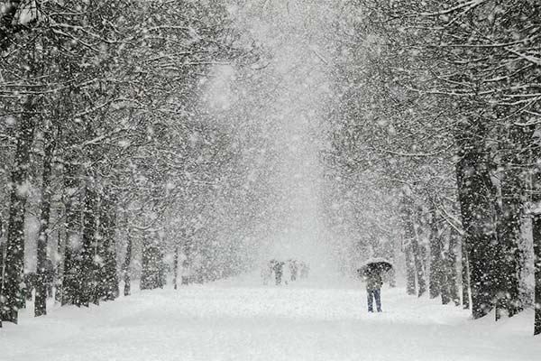Святий Миколай до Запоріжжя приїде на санях, очікується снігопад