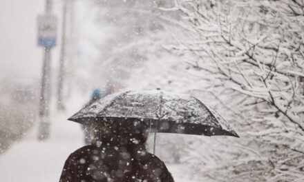У Запоріжжі та Запорізькій області випаде ще більше снігу – прогноз