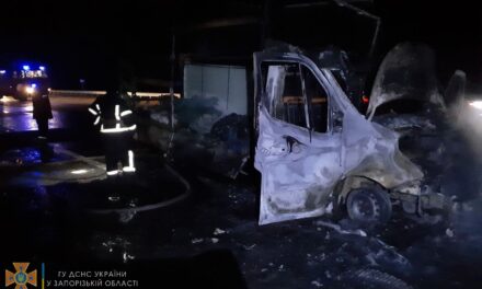 Рятувальники у Запоріжжі показали як гасили вантажівку, що спалахнула на трасі