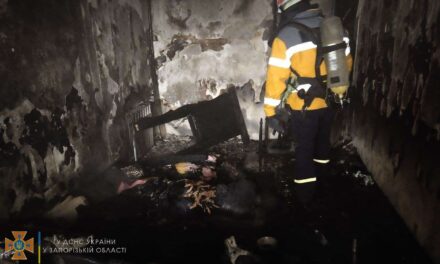 У Запоріжжі на пожежі загинула жінка – фото