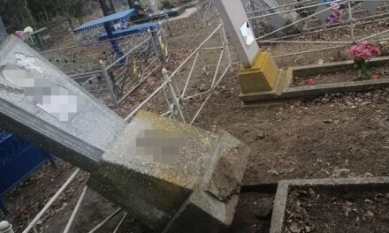 На Запоріжжі вандал розкурочив два десятки могил на цвинтарі – фото, відео