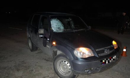 На Запоріжжі дівчину, яка перебігала дорогу у невстановленому місці, збило авто – фото