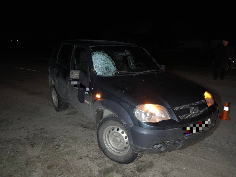 На Запоріжжі дівчину, яка перебігала дорогу у невстановленому місці, збило авто – фото