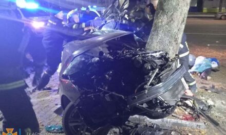 На Запоріжжі авто злетіло в кювет і врізалося в дерево, двоє людей загинуло – фото