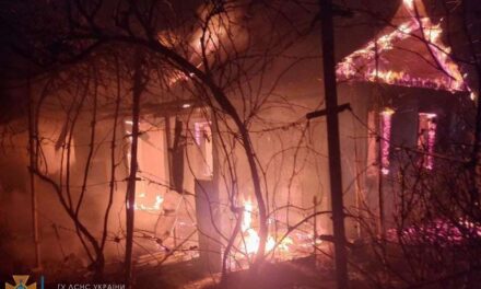 У Мелітопольському районі на пожежі загинула власниця будинку – фото