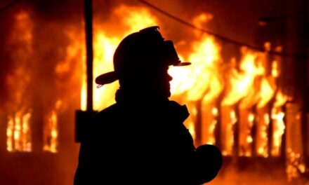 На Запоріжжі під час пожежі у житловому будинку загинула жінка