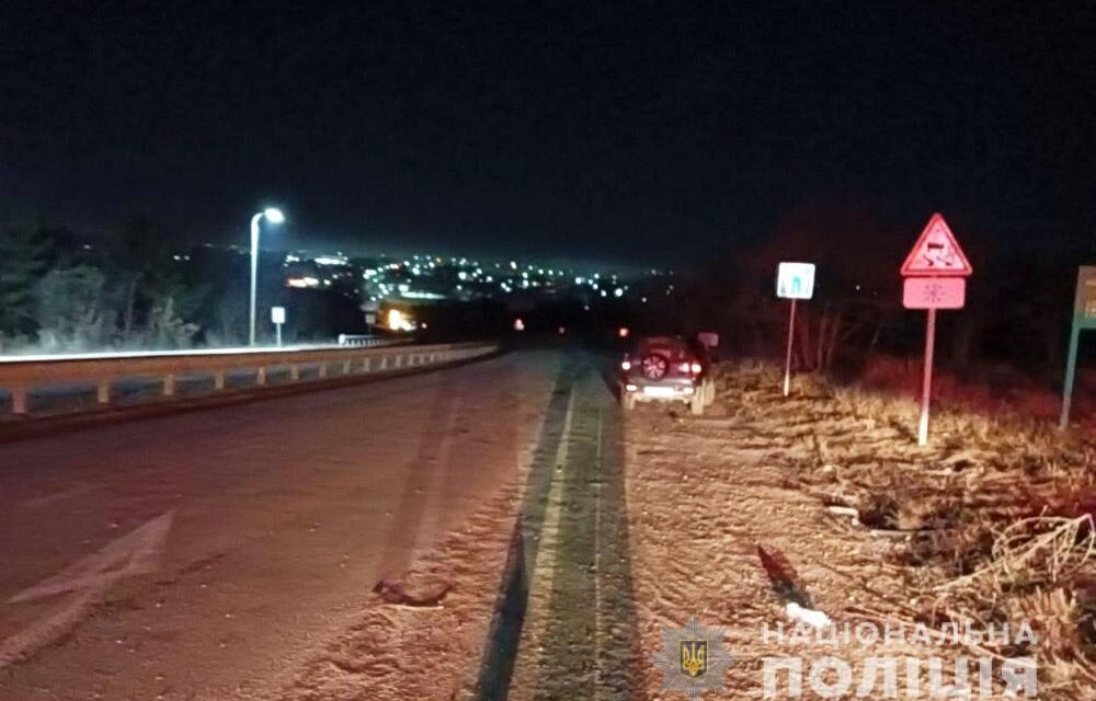 В авто, яке втрапило в ДТП на Запоріжжі, перебувало 4 пасажири – фото
