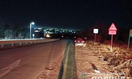 В авто, яке втрапило в ДТП на Запоріжжі, перебувало 4 пасажири – фото
