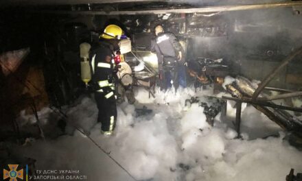 У Запоріжжі в гаражному приміщенні, де знаходилися кисневий та газові балони, сталася пожежа – фото