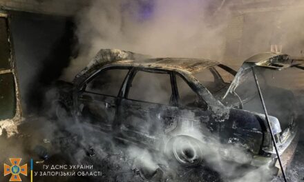 У Запоріжжі під час руху загорівся легковий автомобіль – фото