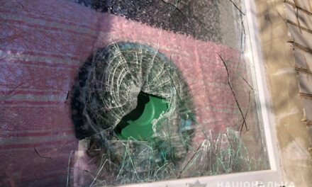 На Запоріжжі неадекватний чоловік кидав каміння у вікна дитячого садка – фото