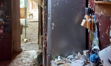 Дитина та двоє дорослих постраждали у Запорізькому районі внаслідок ворожих обстрілів (фото)